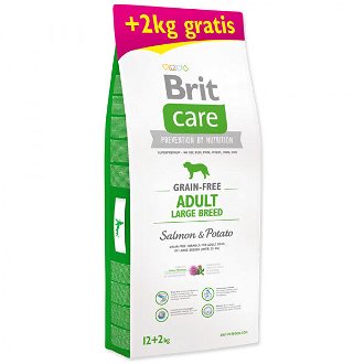 Brit Care Grain-free Adult Large Breed Salmon & Potato 12+2 kg