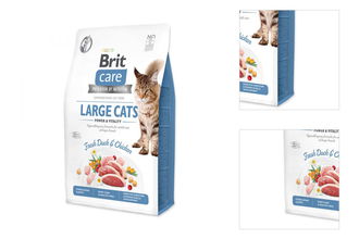 Brit Care granuly Cat Grain-Free Large cats Power & Vitality kačica a kura 2 kg 3