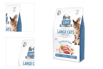 Brit Care granuly Cat Grain-Free Large cats Power & Vitality kačica a kura 2 kg 4