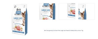 Brit Care granuly Cat Grain-Free Large cats Power & Vitality kačica a kura 7 kg 1