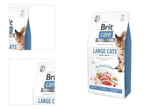 Brit Care granuly Cat Grain-Free Large cats Power & Vitality kačica a kura 7 kg 4