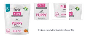 Brit Care granuly Dog Grain-free Puppy 1kg 1