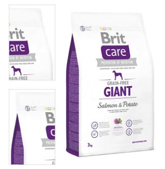 Brit Care granuly Grain-free Giant losos a zemiaky 3 kg 4
