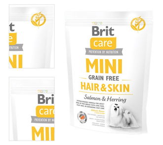 Brit Care granuly Mini Grain Free Hair & Skin losos a sleď 400 g 4