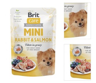 Brit Care Mini Rabbit & Salmon fillets in gravy 85g 3