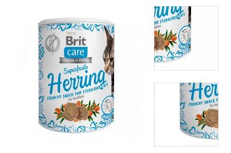 Brit Care snack pre mačky Superfruits Herring 100 g 3