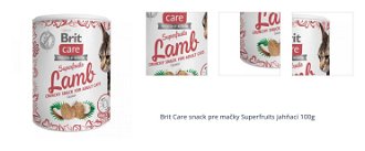 Brit Care snack pre mačky Superfruits jahňací 100g 1