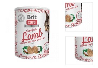 Brit Care snack pre mačky Superfruits jahňací 100g 3