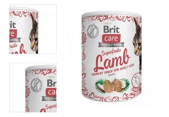 Brit Care snack pre mačky Superfruits jahňací 100g 4