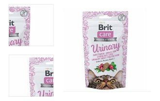 Brit Care snack pre mačky Urinary 50g 4