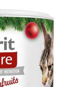 Brit Care Snack Superfruits Christmas dóza 100g 7