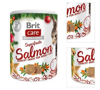 Brit Care Snack Superfruits Christmas dóza 100g 3
