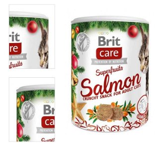 Brit Care Snack Superfruits Christmas dóza 100g 4