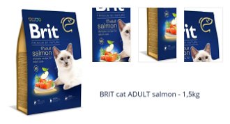 BRIT cat ADULT salmon - 1,5kg 1