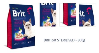 BRIT cat STERILISED - 800g 1