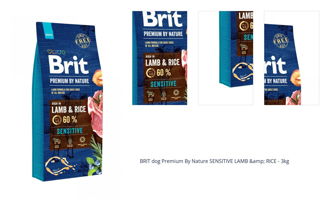 BRIT dog Premium By Nature SENSITIVE LAMB &amp; RICE - 3kg 1