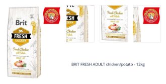 BRIT FRESH ADULT chicken/potato - 12kg 1
