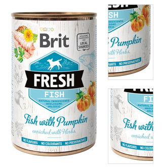 Brit Fresh Fish with Pumpkin 400 g 3