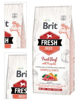 Brit Fresh granuly Puppy Large hovädzie a tekvica 12 kg 4