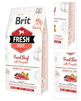 Brit Fresh granuly Puppy Large hovädzie a tekvica 2,5 kg 3