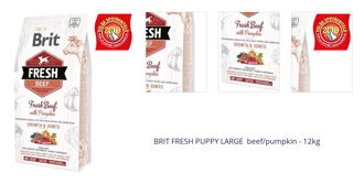 BRIT FRESH PUPPY LARGE beef/pumpkin - 12kg 1