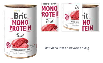 Brit Mono Protein hovadzie 400 g 1