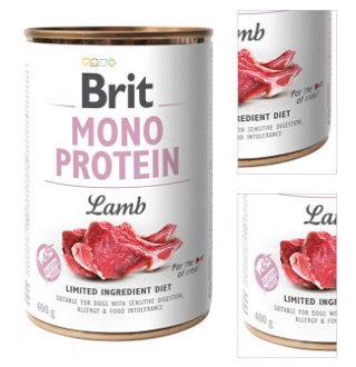 Brit Mono Protein jahna 400 g 3