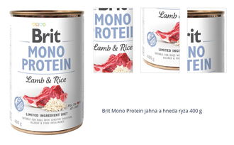 Brit Mono Protein jahna a hneda ryza 400 g 1