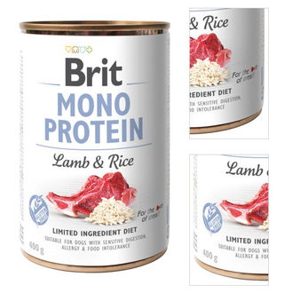 Brit Mono Protein jahna a hneda ryza 400 g 3