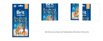 Brit Premium by Nature Cat Tyčinky Sticks with Salmon & Trout 3 ks 1