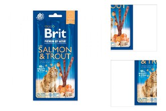 Brit Premium by Nature Cat Tyčinky Sticks with Salmon & Trout 3 ks 3