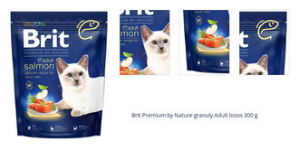 Brit Premium by Nature granuly Adult losos 300 g 1