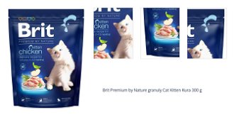 Brit Premium by Nature granuly Cat Kitten Kura 300 g 1