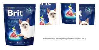 Brit Premium by Nature granuly Cat Sensitive jahňa 300 g 1