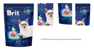 Brit Premium by Nature granuly Cat Sensitive jahňa 800 g 1