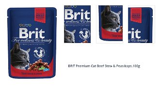 BRIT Premium Cat Beef Stew & Peas kaps.100g 1
