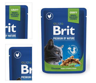 BRIT Premium Cat Chicken Slices for Sterilised kaps.100g 4