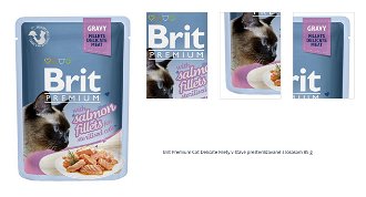 Brit Premium Cat Delicate Filety v šťave presterilizované s lososom 85 g 1