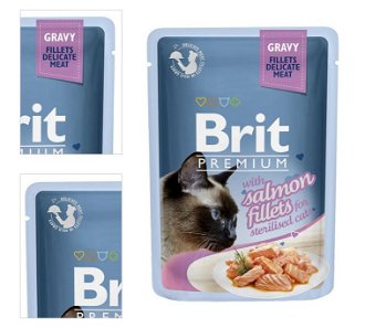 Brit Premium Cat Delicate Filety v šťave presterilizované s lososom 85 g 4