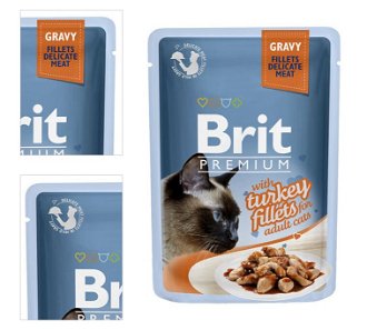 Brit Premium Cat Delicate Filety v šťave s morkou 85 g 4