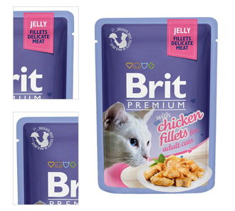 Brit Premium Cat Delicate Filety v želé s kuracinou 85 g 4