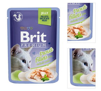 Brit Premium Cat Delicate Filety v želé so pstruhom 85 g 3