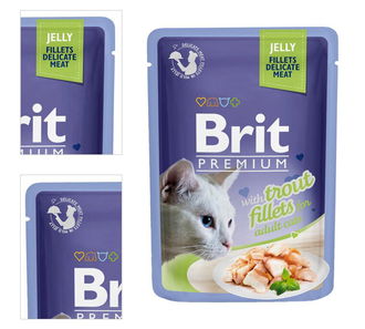 Brit Premium Cat Delicate Filety v želé so pstruhom 85 g 4