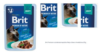 Brit Premium cat delicate kapsička filety v šťave s hovädzinou 85 g 1