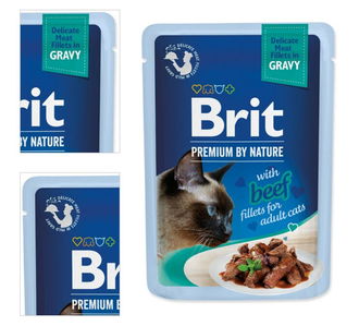 Brit Premium cat delicate kapsička filety v šťave s hovädzinou 85 g 4