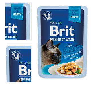 Brit Premium cat delicate kapsička filety v šťave s kuracinou 85 g 4