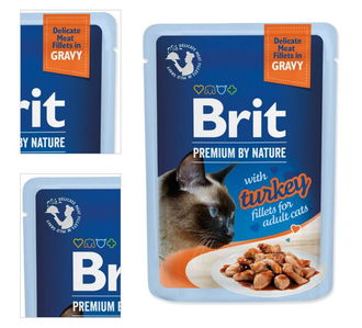 Brit Premium cat delicate kapsička filety v šťave s morkou 85 g 4