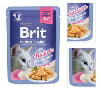 Brit Premium cat delicate kapsička filety v želé s kuracinou 85 g 3