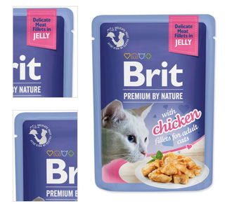 Brit Premium cat delicate kapsička filety v želé s kuracinou 85 g 4