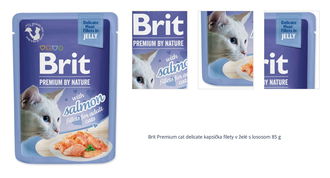 Brit Premium cat delicate kapsička filety v želé s lososom 85 g 1